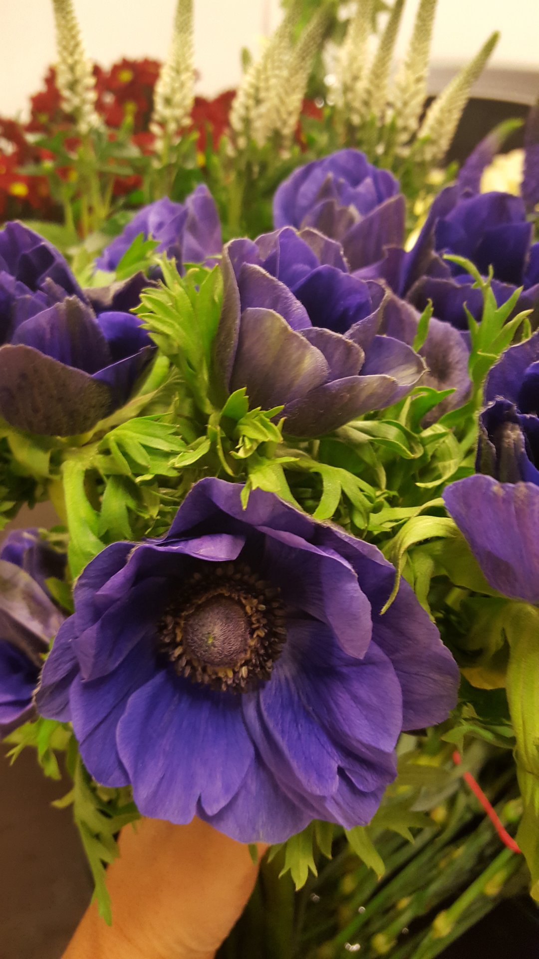 Snittblommor 5