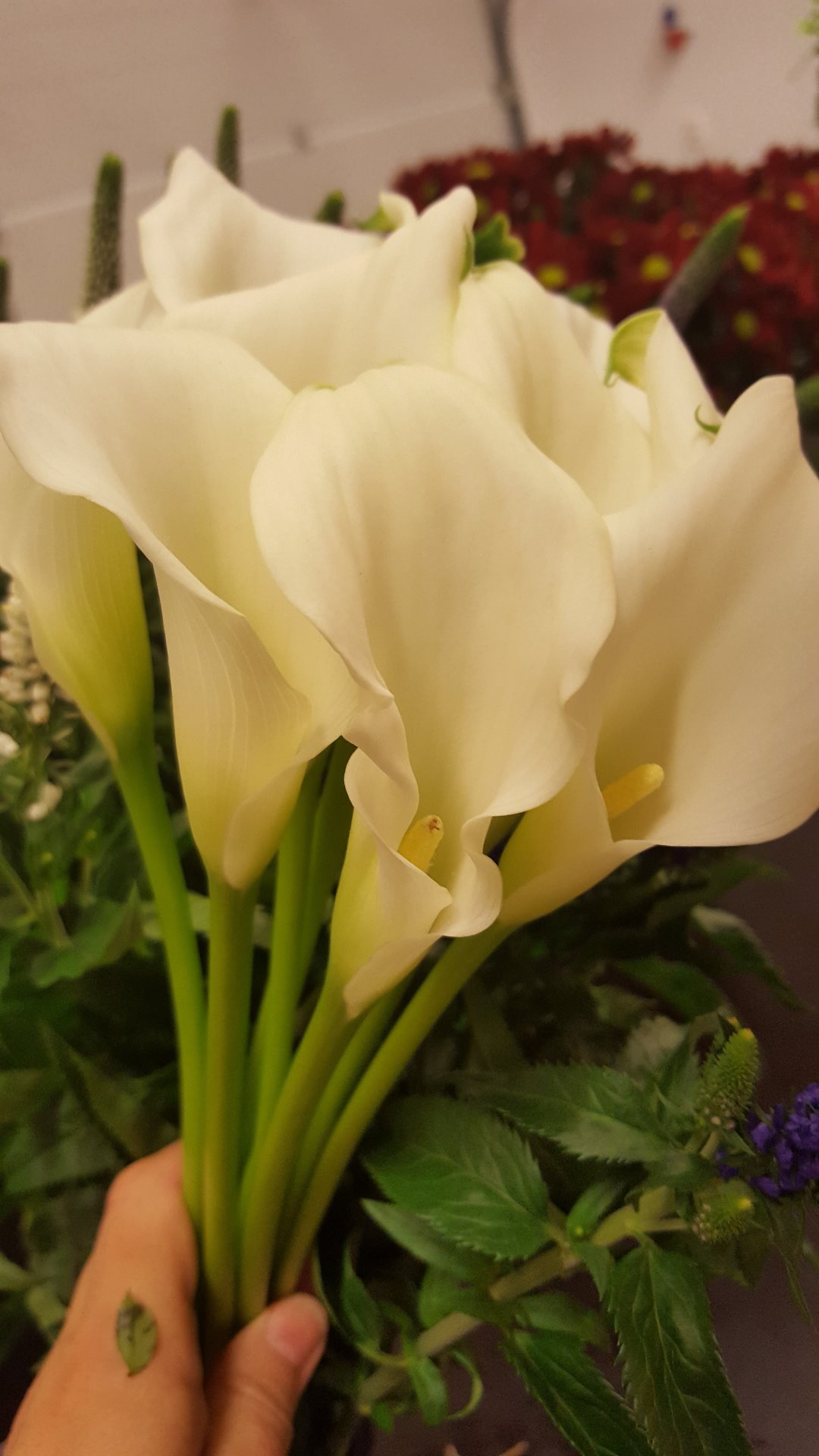 Snittblommor 7
