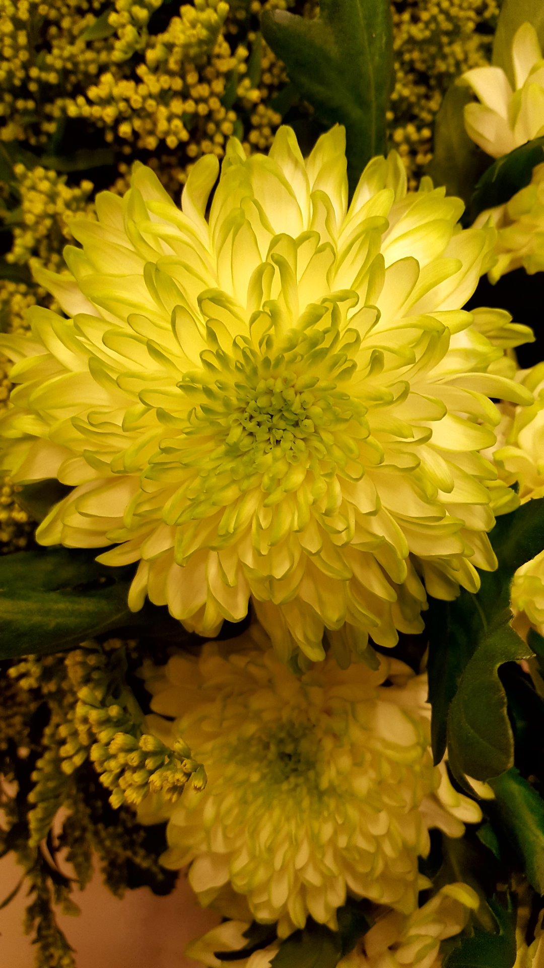 Snittblommor 11