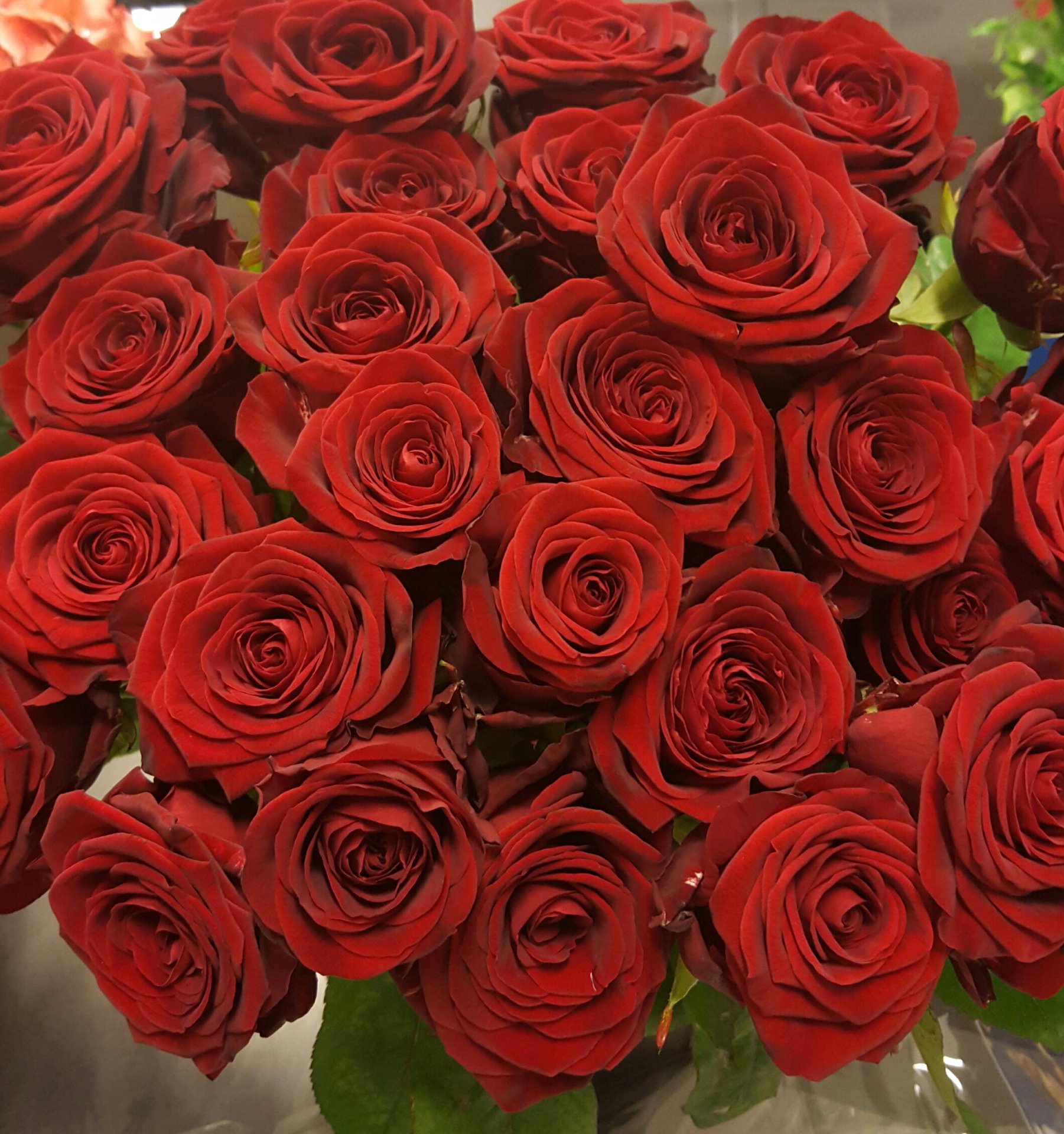 Snittblommor 12