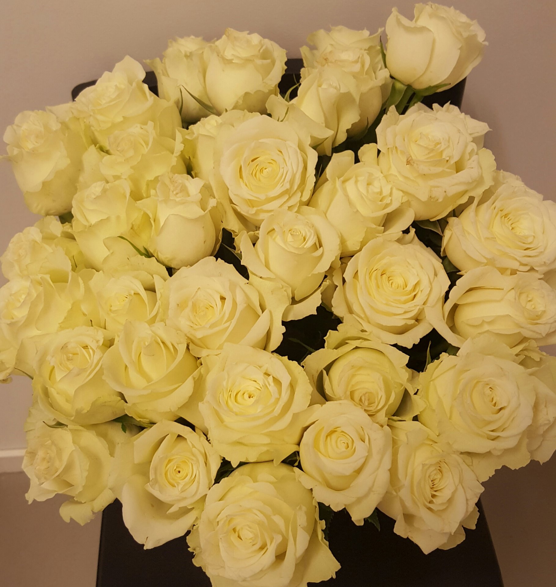 Snittblommor 13