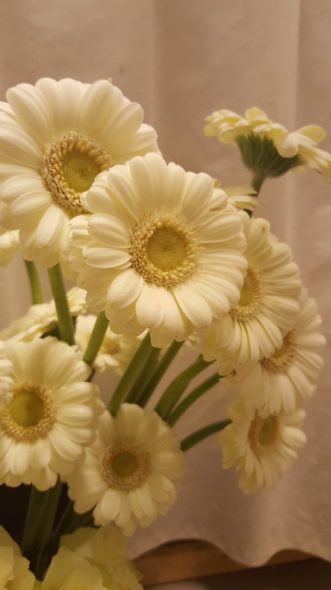 Snittblommor 15