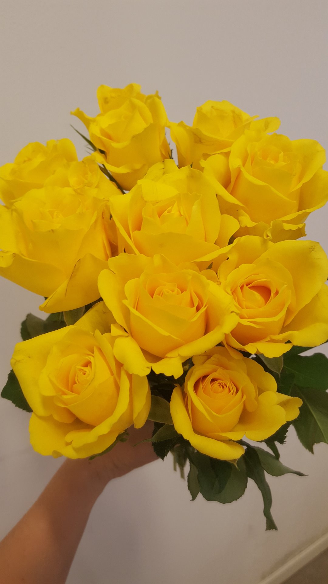 Snittblommor 18