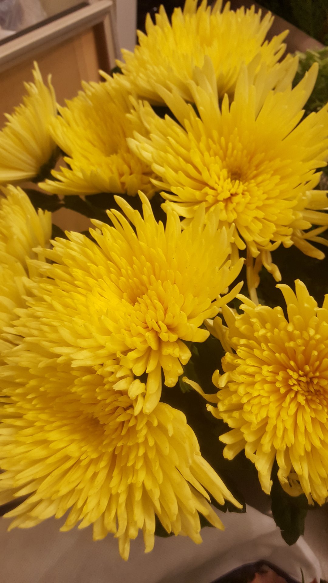 Snittblommor 20