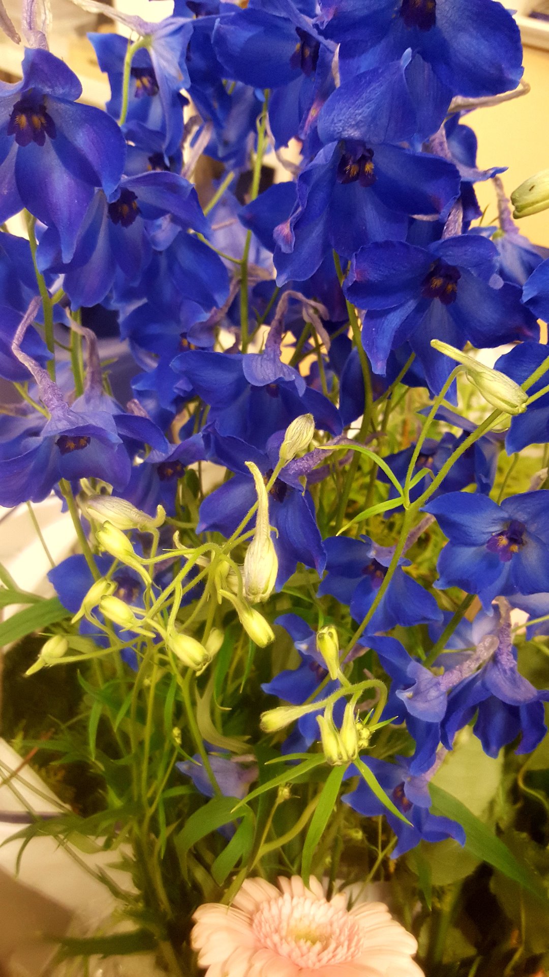 Snittblommor 21