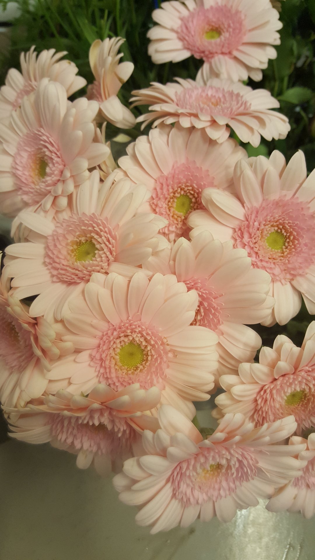 Snittblommor 23