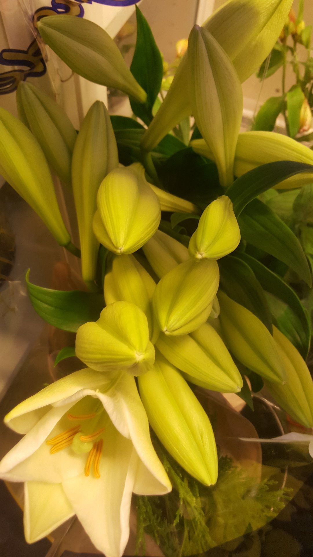 Snittblommor 26