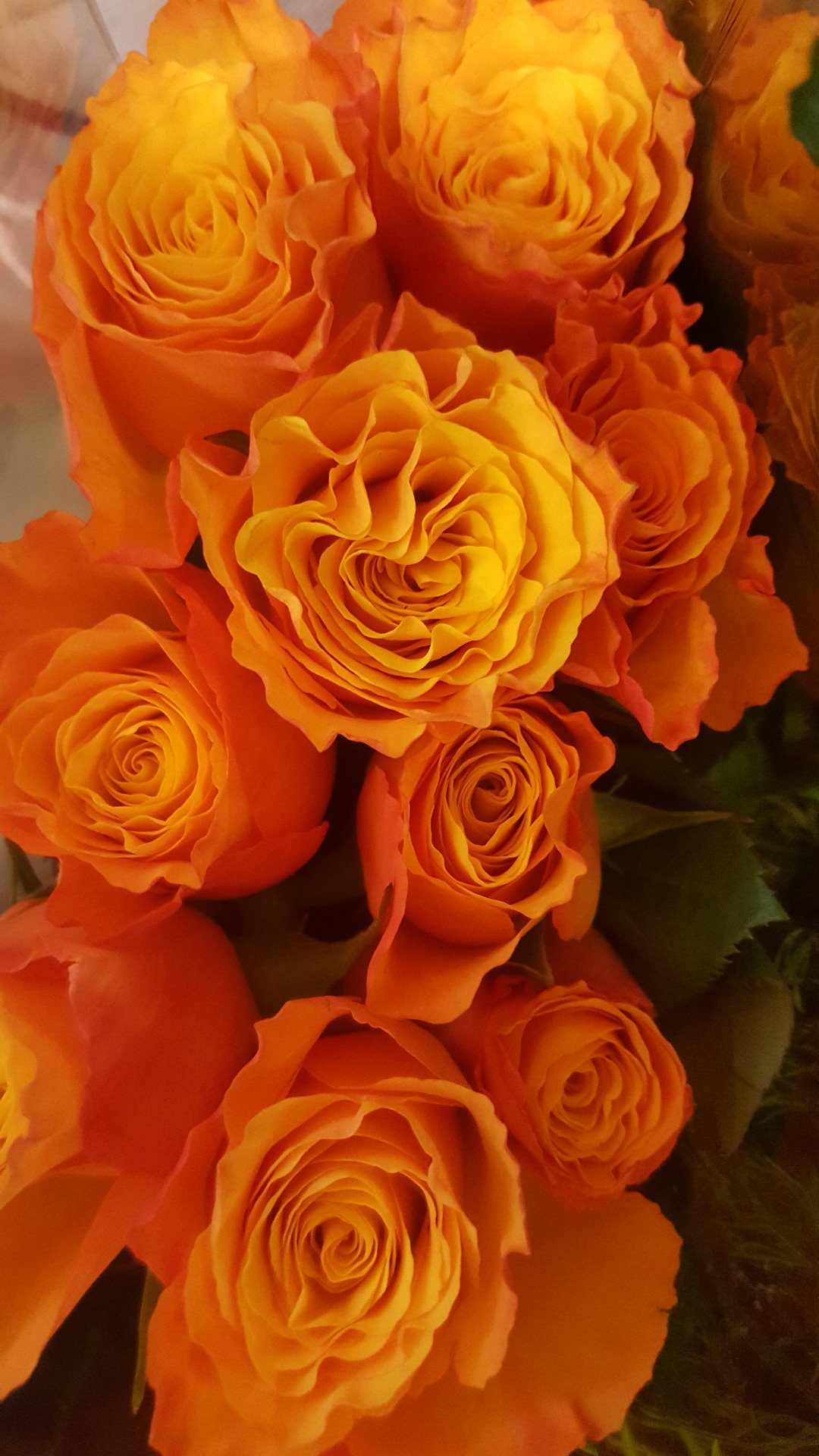 Snittblommor 27