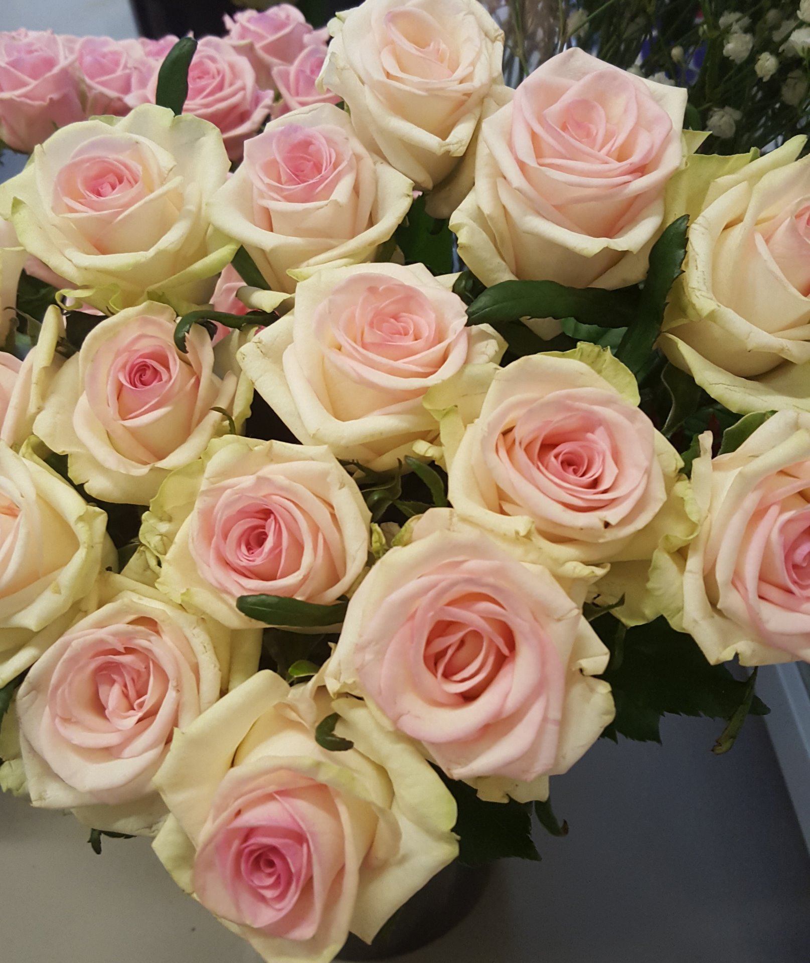 Snittblommor 31