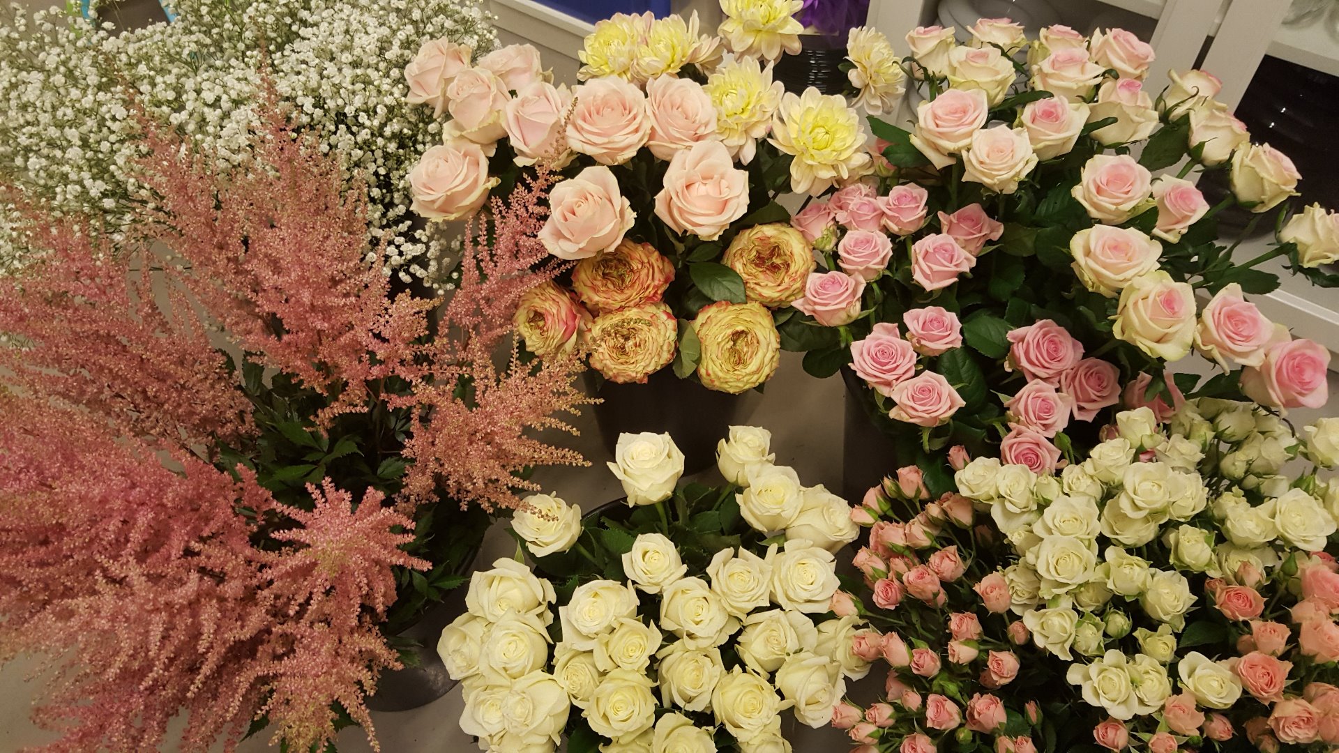 Snittblommor 33