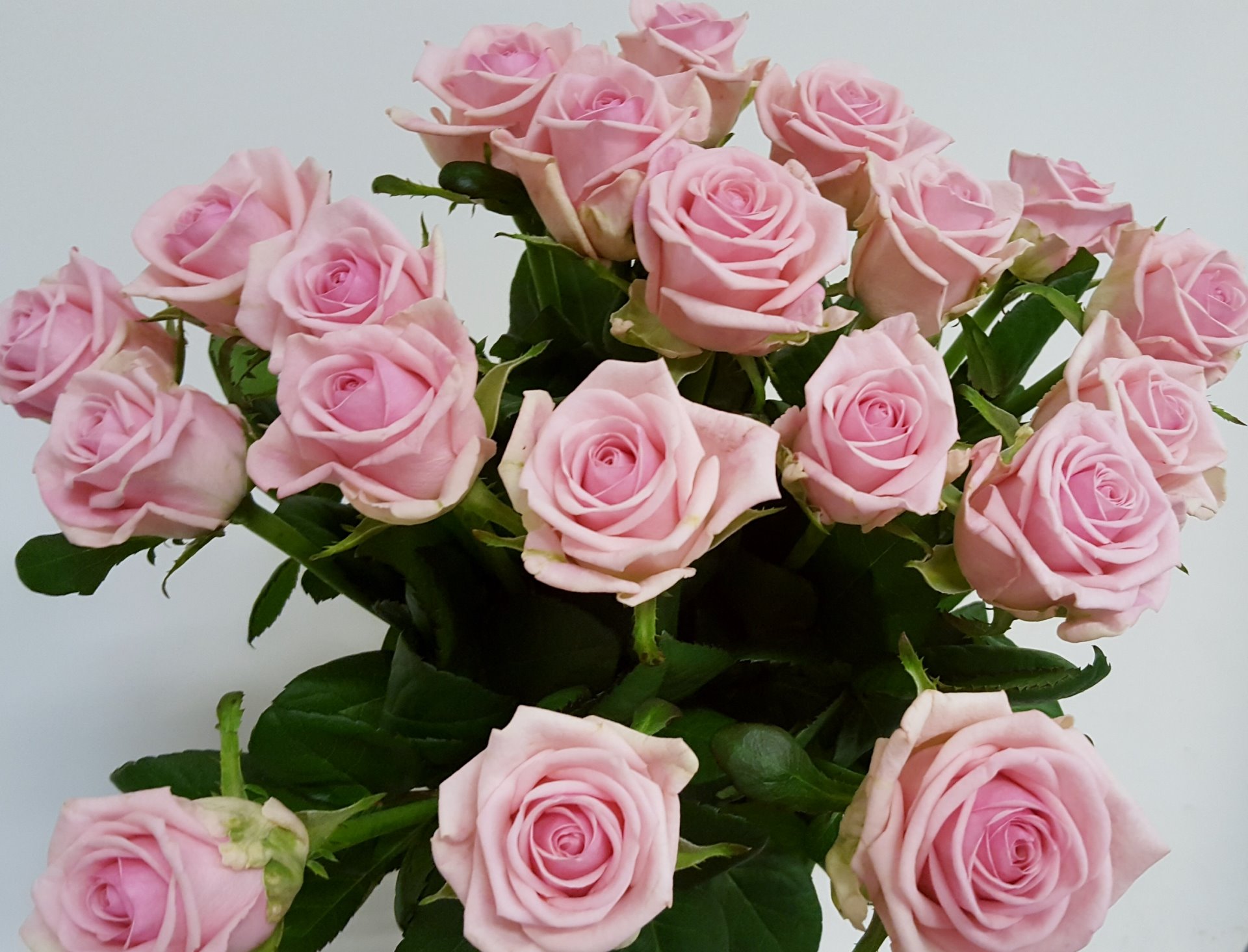 Snittblommor 36