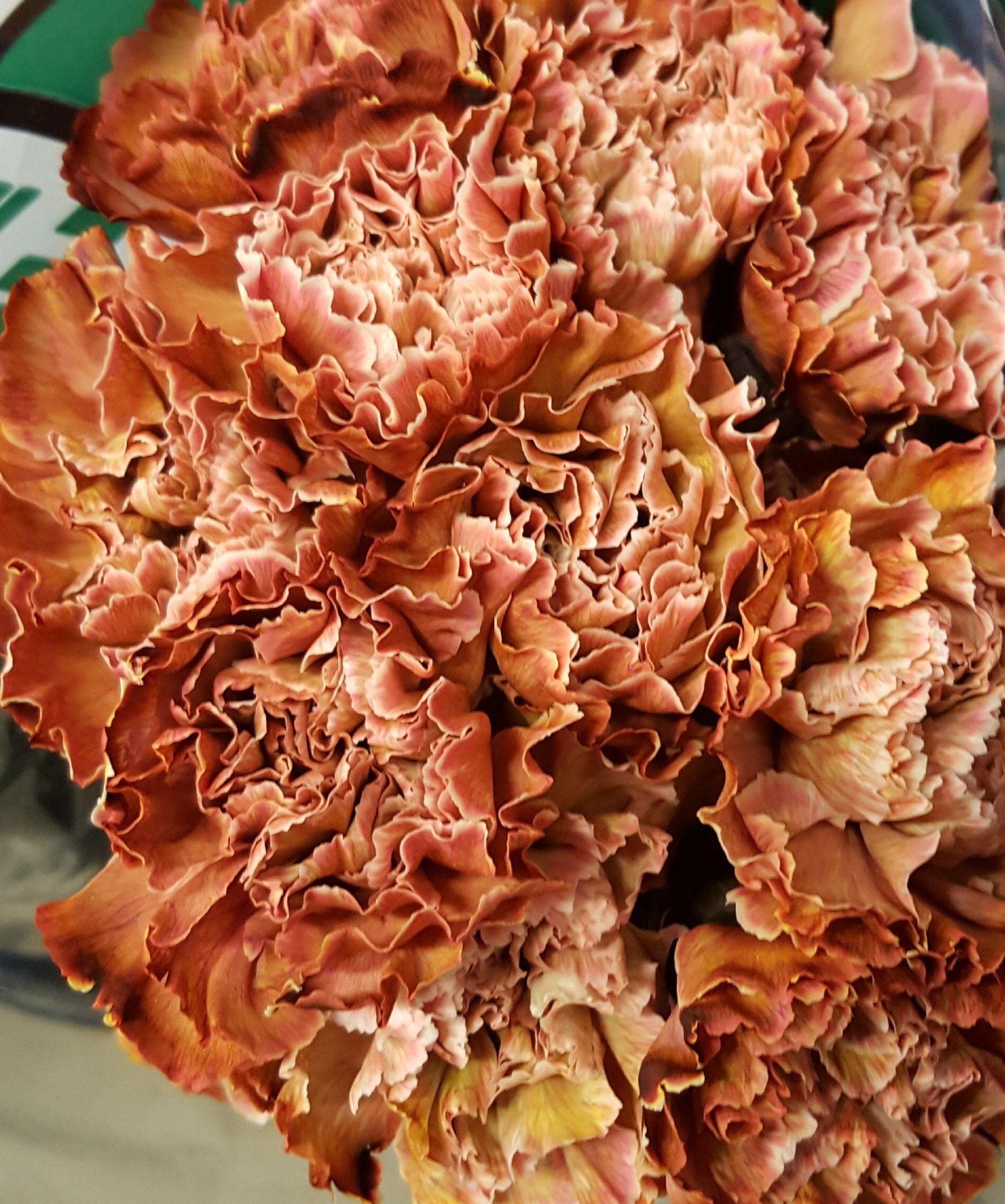 Snittblommor 41