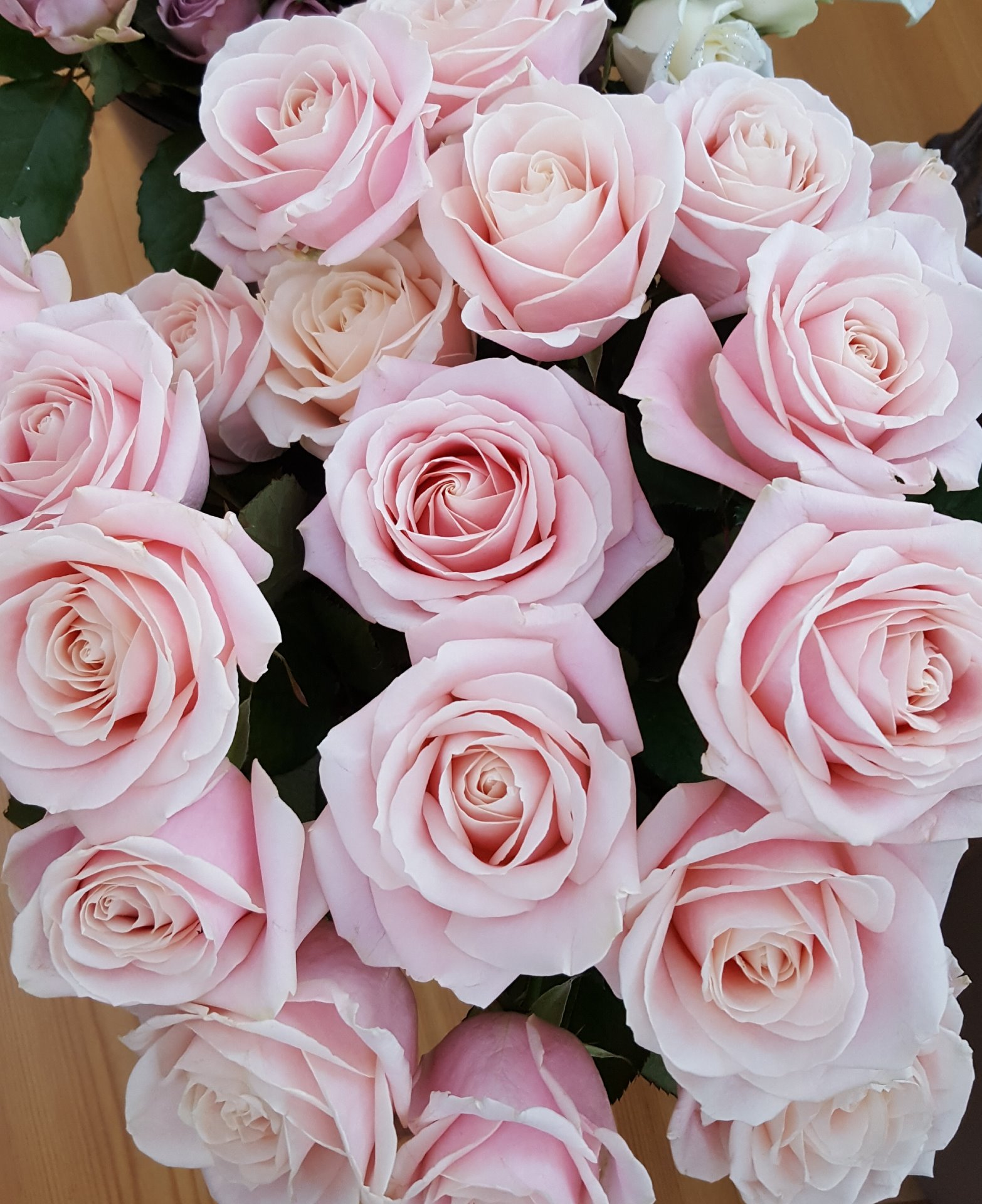Snittblommor 42