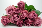 Snittblommor 48