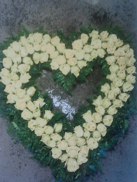 Sorg 55