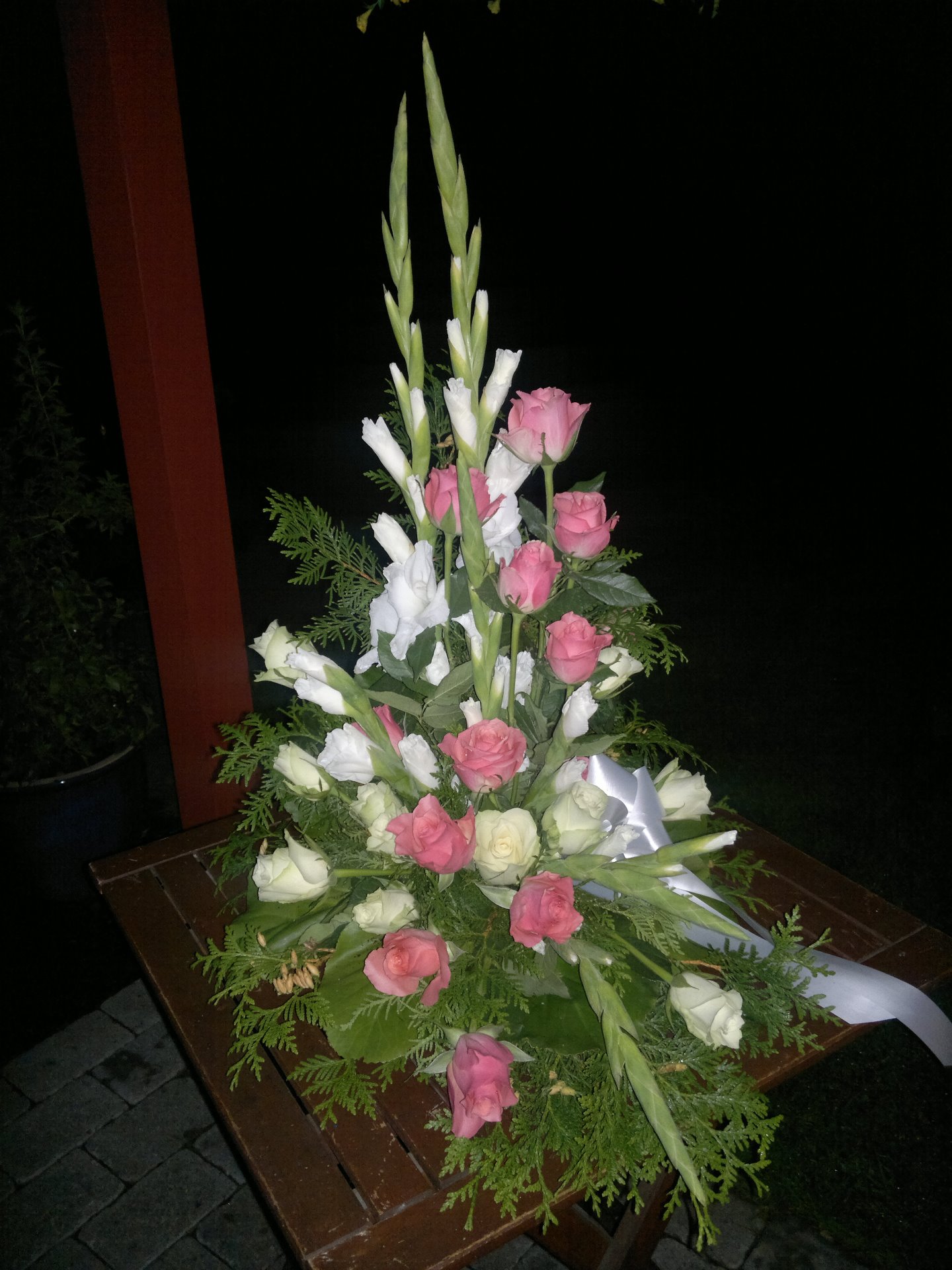 Sorg 56