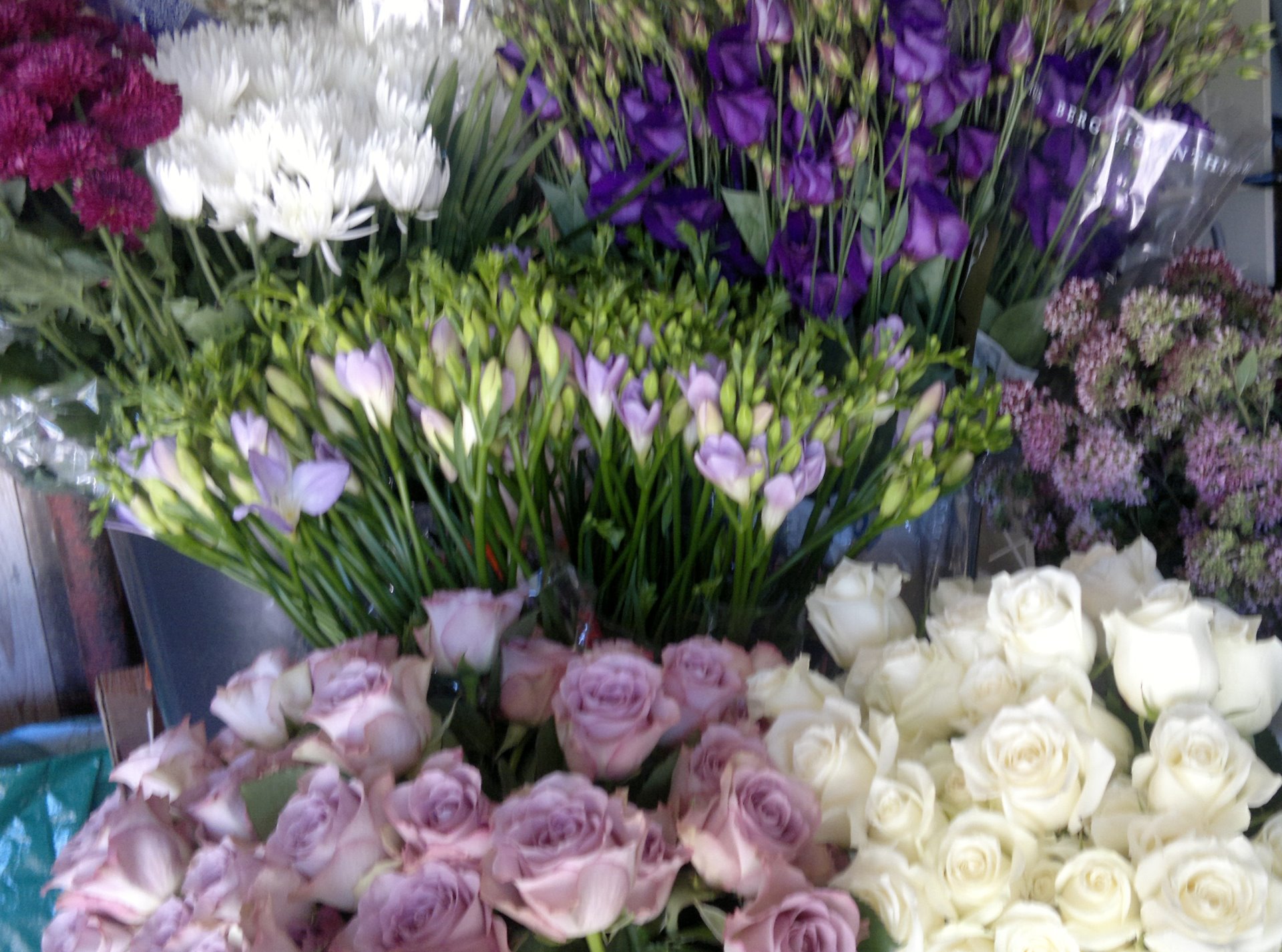 Snittblommor 51