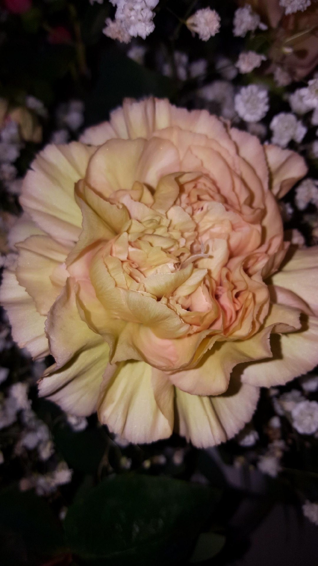 Snittblommor 53