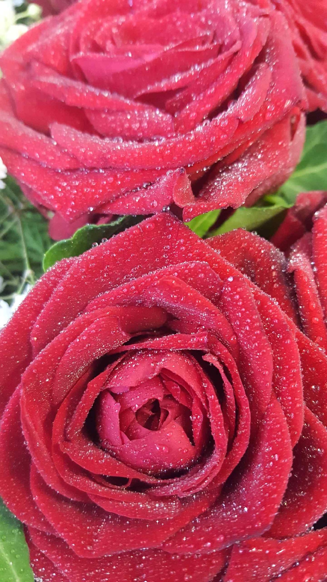 Snittblommor 54
