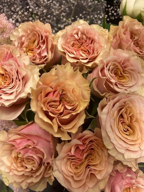 Snittblommor 57