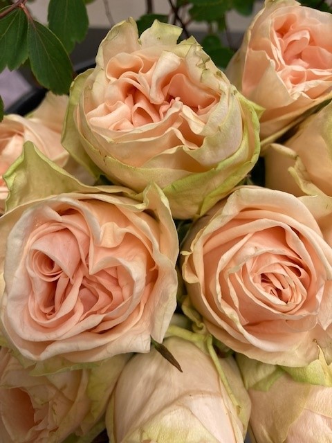Snittblommor 68