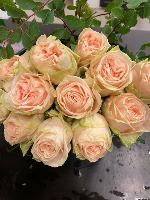 Snittblommor 70