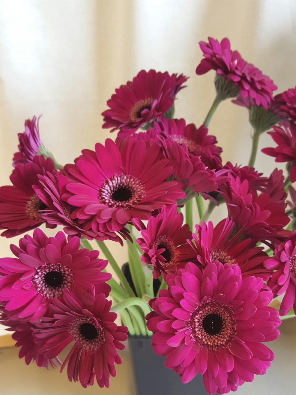 Snittblommor 66