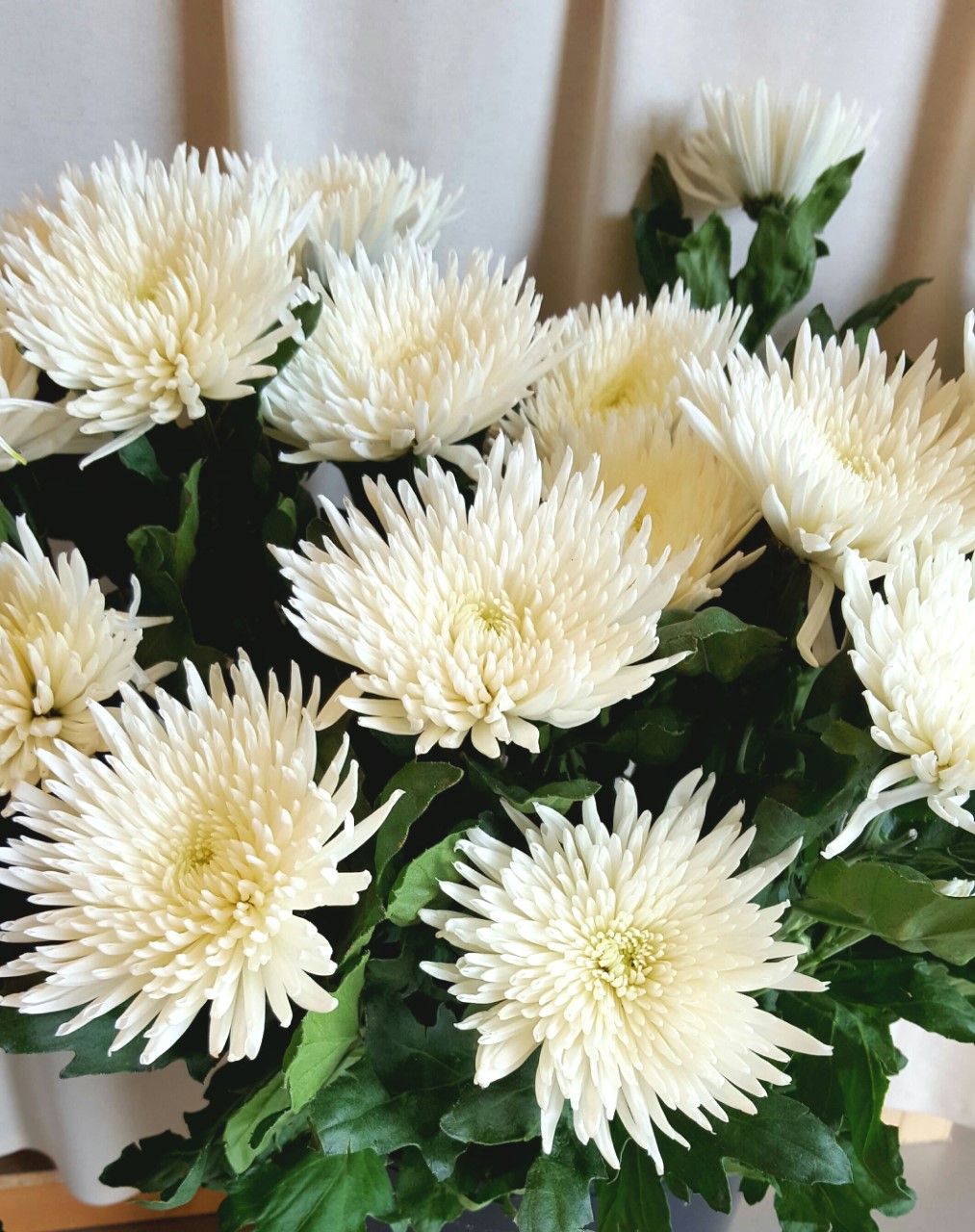 Snittblommor 67